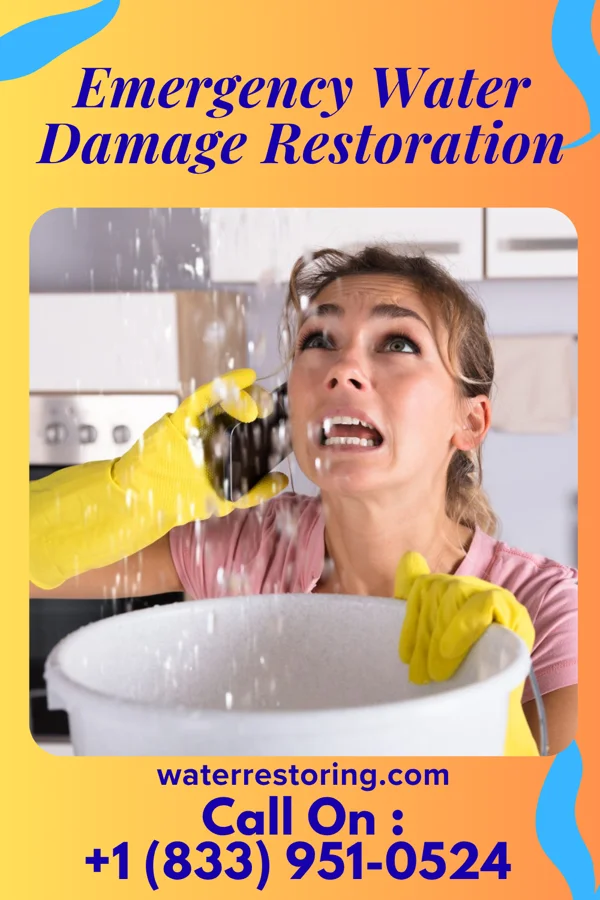Emergency Water Damage Restoration in Raleigh, FL