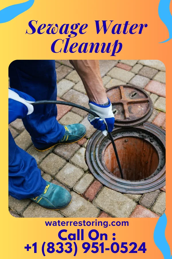 Sewage Water Cleanup in Raleigh, FL